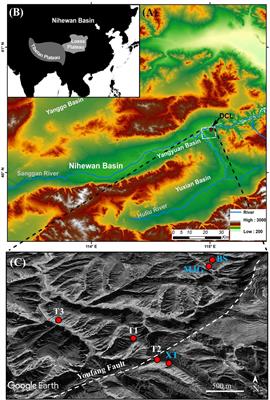 Early Pleistocene depositional and environmental conditions at Dachangliang, Nihewan Basin, NE China